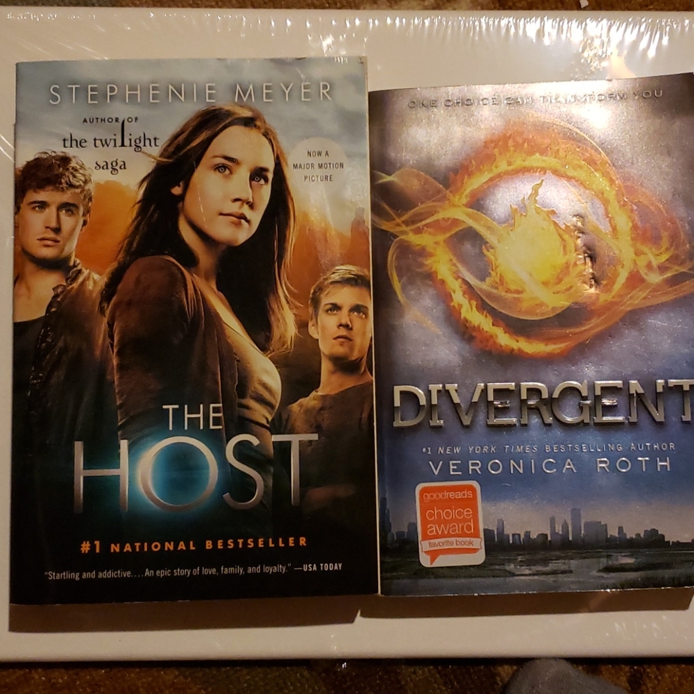Divergent Novel